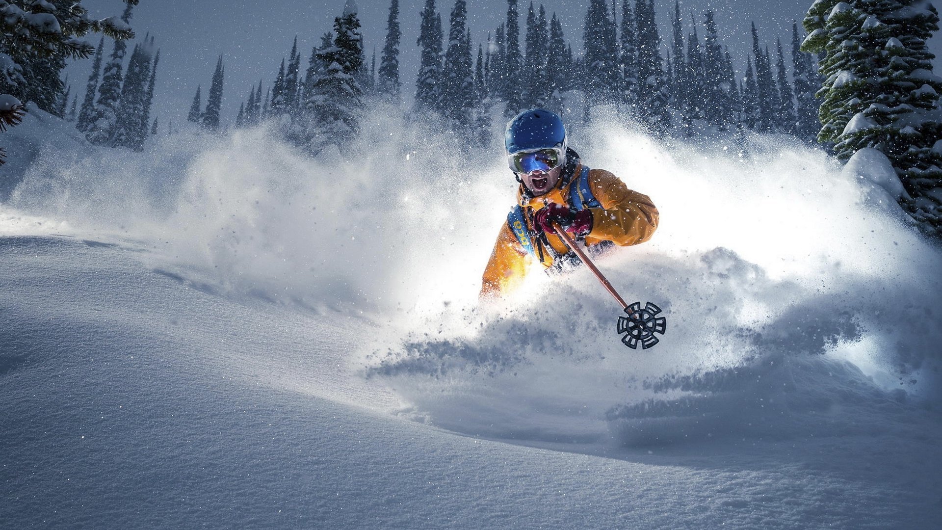 开云网页版-双雄逐鹿榜首，互有胜负显诚意